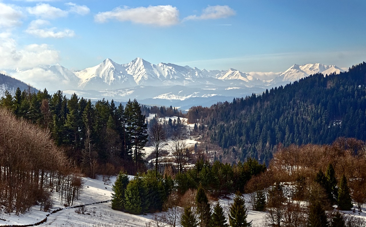 Apartamenty Zakopane: Komfort, styl i niezależność pod samym Giewontem